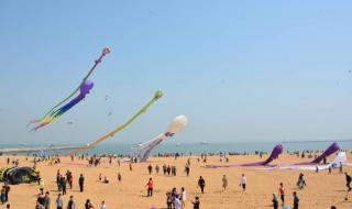 潍坊国际风筝节 潍坊国际风筝节