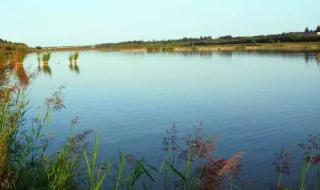 河南省新乡市封丘县