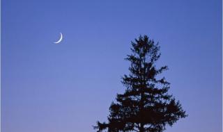 下一个月亮 下一个月亮