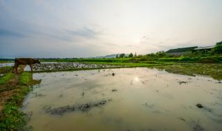 江西省吉安市永新县