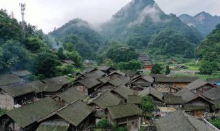 向云端原唱 向云端原唱