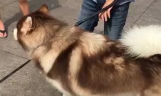 在别人怀里 在别人怀里