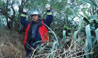 无名高地有了名故事梗概 俄罗斯电影无名高地