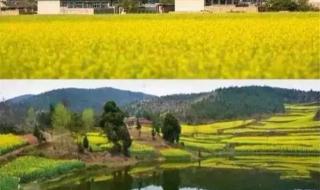 春游可以去哪些地方玩 春游可以去哪些地方玩