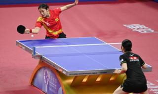 樊振东许昕怎么没参加2022世乒赛 2022年世乒赛女队几连冠