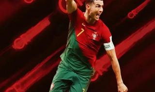 卡塔尔世界杯亚军